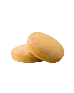 Sponge Blank Frozen 12