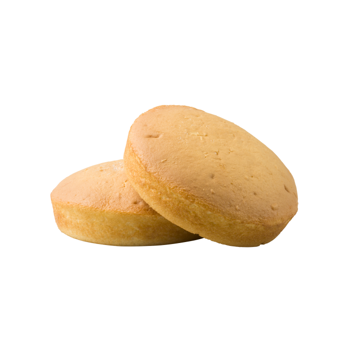 Sponge Blank Frozen 12